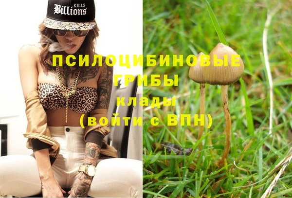 спиды Волосово
