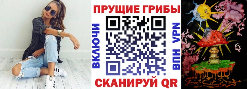Купить закладки  Касли  Галлюциногенные грибы ЛСД 